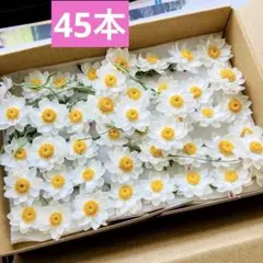 102 半ドライフラワー花かんざし４５本( 令和８年度産 ) オマケ付き