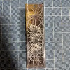 Item thumbnail for item 2a4a5a5a-3652-41b2-913c-64da1c2e5f21