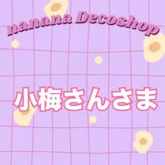 小梅さんさま おまとめ