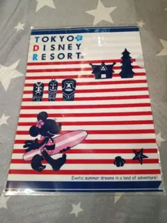 東京ディズニーリゾート クリアファイル A4