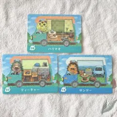 どうぶつの森　amiiboカード　ハリマオ ティーチャー サンデー