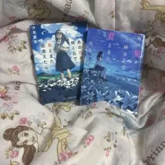 汐見夏衛 あの花が咲く丘で、君とまた出会えたら。 2冊セット