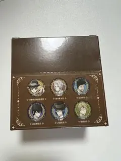 家庭教師ヒットマン リボーン ホログラム缶バッジ アニカプ絵 コンプセット