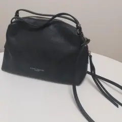 【美品】ジャンニキャリーニ アリファM ショルダーバッグ レザー 黒