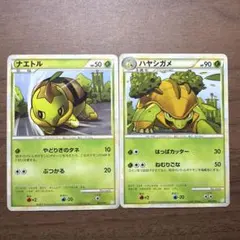 ナエトル&ハヤシガメ ポケモンカードゲーム 002/010,003/010のサムネイル