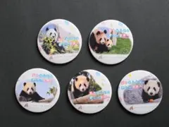 JARI様 リクエスト 3点 まとめ商品