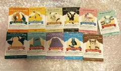 ポケモンセンターオンライン 会員証風カード　B賞　コンプリート