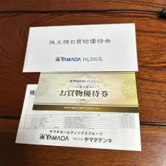 ヤマダ電機　株主優待券 ¥500×10枚