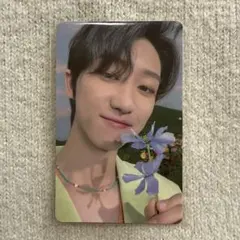 SEVENTEEN SECTOR17 The8 Weverse