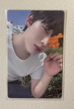 ENHYPENソヌ　トレカ