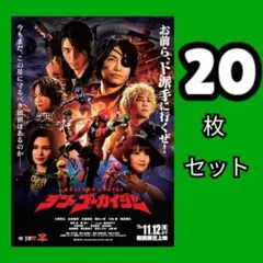 20 テン・ゴーカイジャー　フライヤー　セット