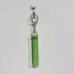 ジブリ　となりのトトロルームキーホルダーコレクション