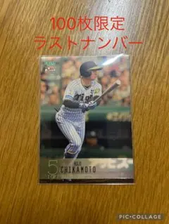 2026年最新】近本光司 bbmの人気アイテム - メルカリ