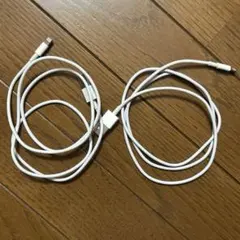 Apple純正　lightningケーブル　2本セット