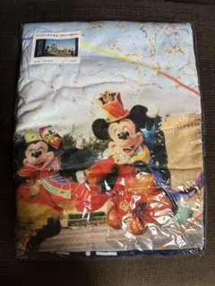 ディズニー 40周年 実写 ワイドバスタオル