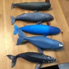 Item thumbnail for item 5b44a3cc-dc5e-451e-814b-f0f34b59f5ca