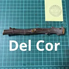 Del Cor 穂木　イチジク穂木　いちじく穂木のサムネイル