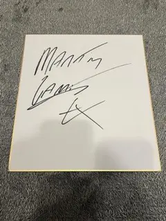 2026年最新】martin garrixの人気アイテム - メルカリ
