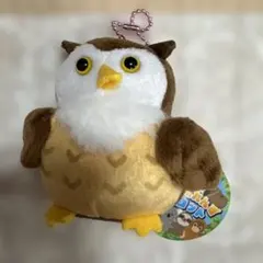 Item thumbnail for item 1e8eceff-f3bd-46a9-b186-db52ac9cacfc