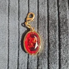 ハリー・ポッター グリフィンドール チャーム USJ