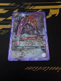 シュタインスライサー