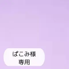 ぱこみ様専用ページです