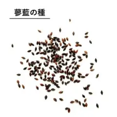 沖縄太郎様 リクエスト 2点 まとめ商品