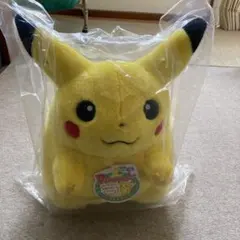 ポケットモンスターDXリモコンセンサーぬいぐるみ ピカチュウピチュー