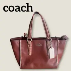 coach テラコッタパイソン ペブルドレザースモールケルシーサッチェル