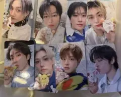 stray kids スキズ ペンミ STAYZONE 入場特典 トレカ セット stray kids スキズ ペンミ STAYZONE 入場特典 トレカ セット - メルカリ