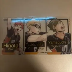 ハイキュー 箔押しクリアカードコレクション 烏野