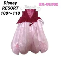 ディズニーリゾート ビビディバビディブティック　オーロラ姫ドレス 110 即日