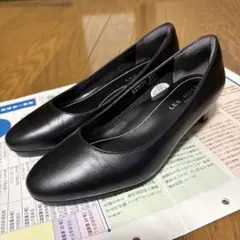 Item thumbnail for item 4a494c0a-2a9c-4bb9-86d5-20aa4ef0b929