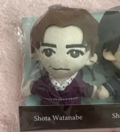 DREAMBOYS ドリボ ちびぬい 渡辺翔太 森本慎太郎 - メルカリ