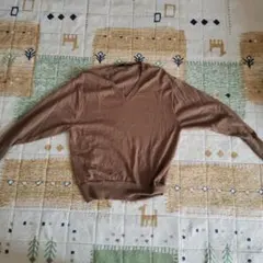 ユニクロVネックセーター