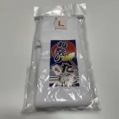 Item thumbnail for item bd020b21-d885-4a7e-bfc6-3440ac926809