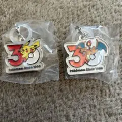 ポケモン　30周年　メタルチャームマスコット　2種セット