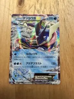 ゲッコウガEX：ポケモンカードゲーム プロモーションカードパック(2014