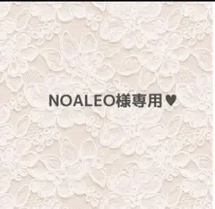 NOALEO様専用ページ♥