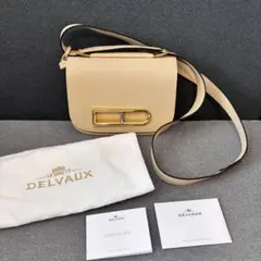 2026年最新】DELVAUX ランゴーの人気アイテム - メルカリ