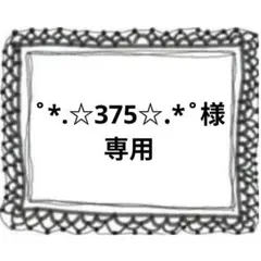 ˚*.☆375☆.*˚様専用