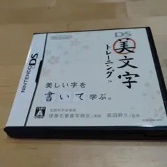 美文字トレーニング ニンテンドーDS ソフト