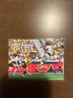 サンフレッチェ広島 スポーツカード