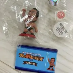 2026年最新】プロ格ヒーローズ 猪木の人気アイテム - メルカリ