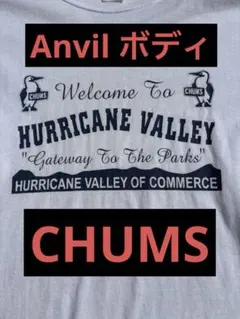CHUMS HURRICANE VALLEY 長袖Tシャツ anvil ボディのサムネイル