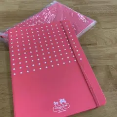 Item thumbnail for item c8beef1a-5b2f-465b-8d15-3cb3a7226b75