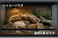 遠州灘 流木 6本セット レイアウト インテリア用品 爬虫類 B-3のサムネイル