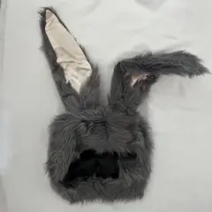 Item thumbnail for item 85b57ac2-3b5f-4ea6-ad93-f11cdc1ecf49