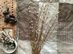 Item thumbnail for item e94aaf61-98fc-4a5f-aec3-1e77f32f53ab