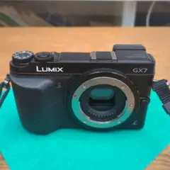 美品 Panasonic LUMIX DMC GX1 本体 シャッター1270回 - メルカリ